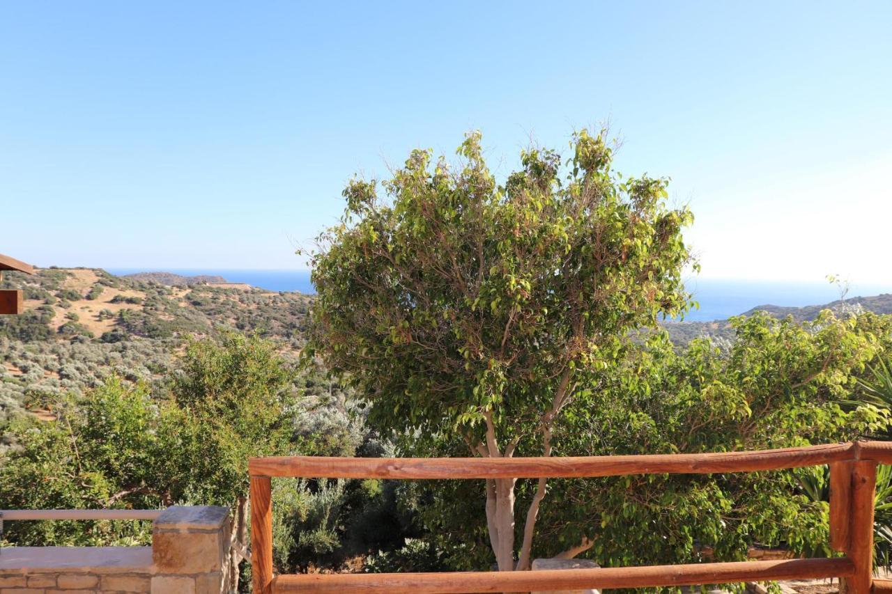 Villa Amathianis Triopetra Exterior foto