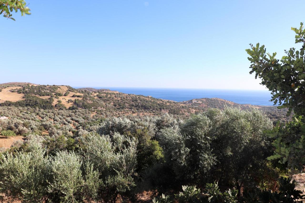 Villa Amathianis Triopetra Exterior foto